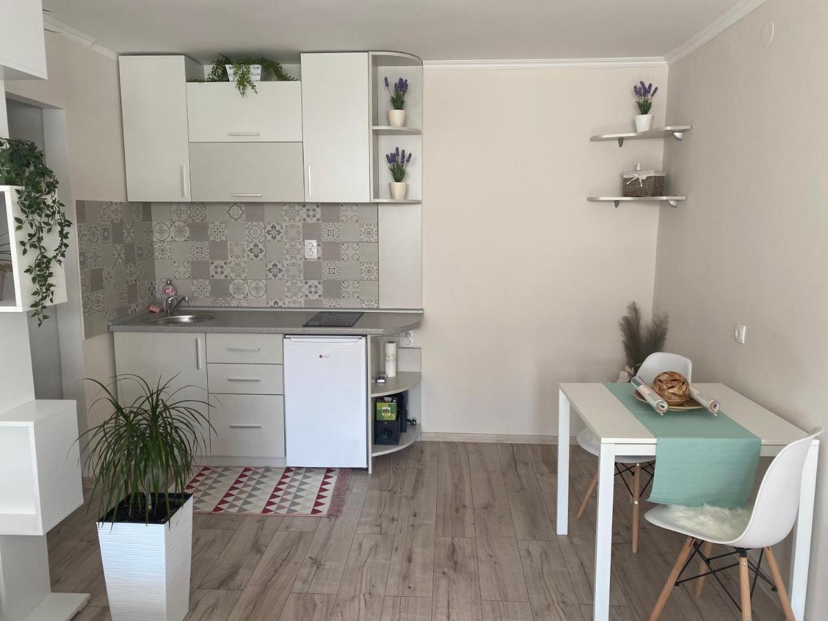 Apartman Lola Lejlighed Novi Sad Eksteriør billede